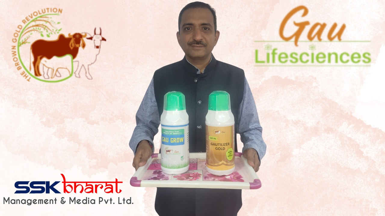 Product Launch Presentation