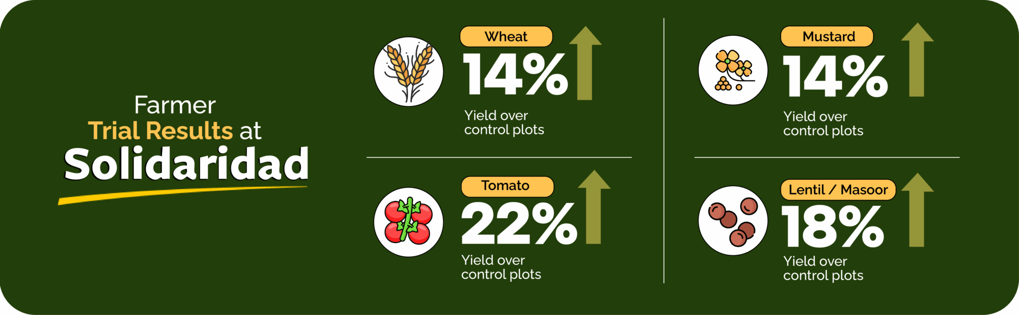 Farmer Trial Results at Solidaridad - Yield increases for Wheat, Mustard, Tomato, and Lentil crops